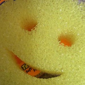 Meet your Posher, Jessie